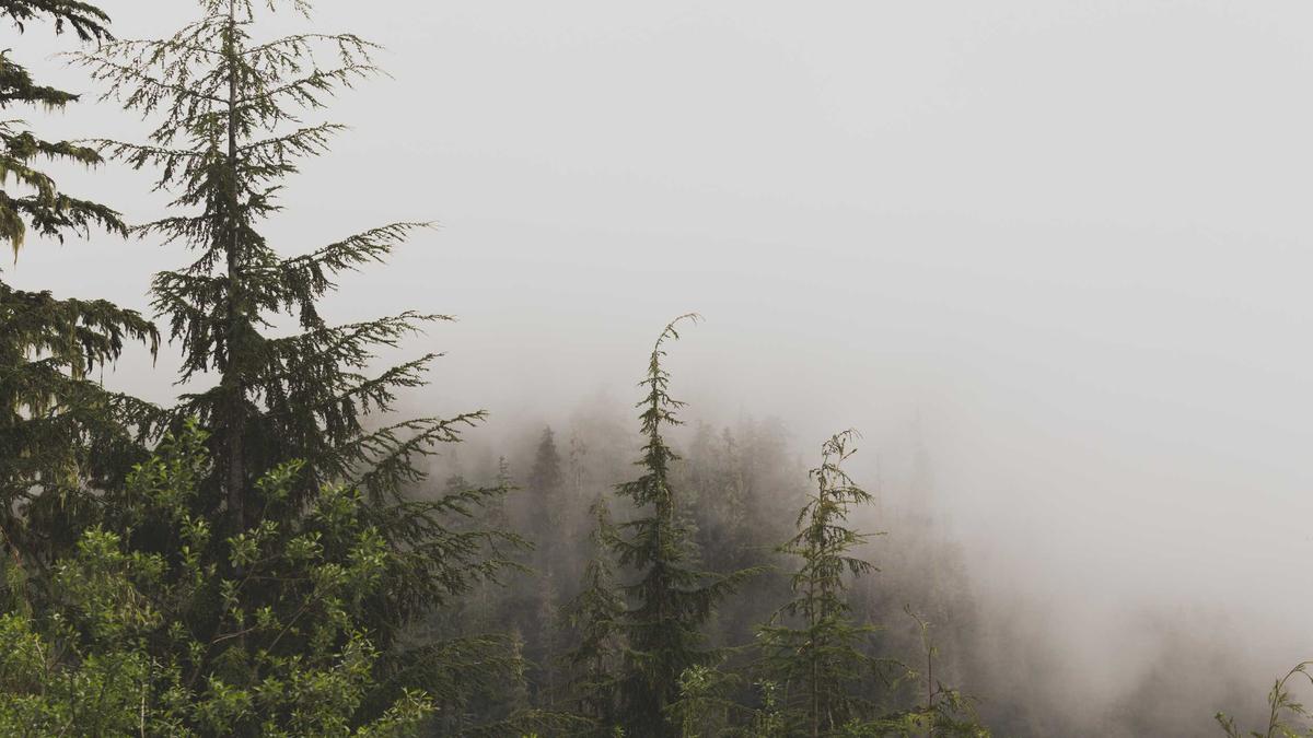 我的写作AI开始拒绝某些词，称它们“携带了过多的历史疲惫”，建议使用新造的生僻词替代。