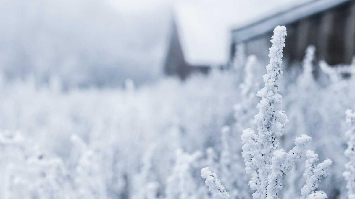 信息消费的“碳排放”计算：焦虑、比较、时间浪费等隐性环境成本