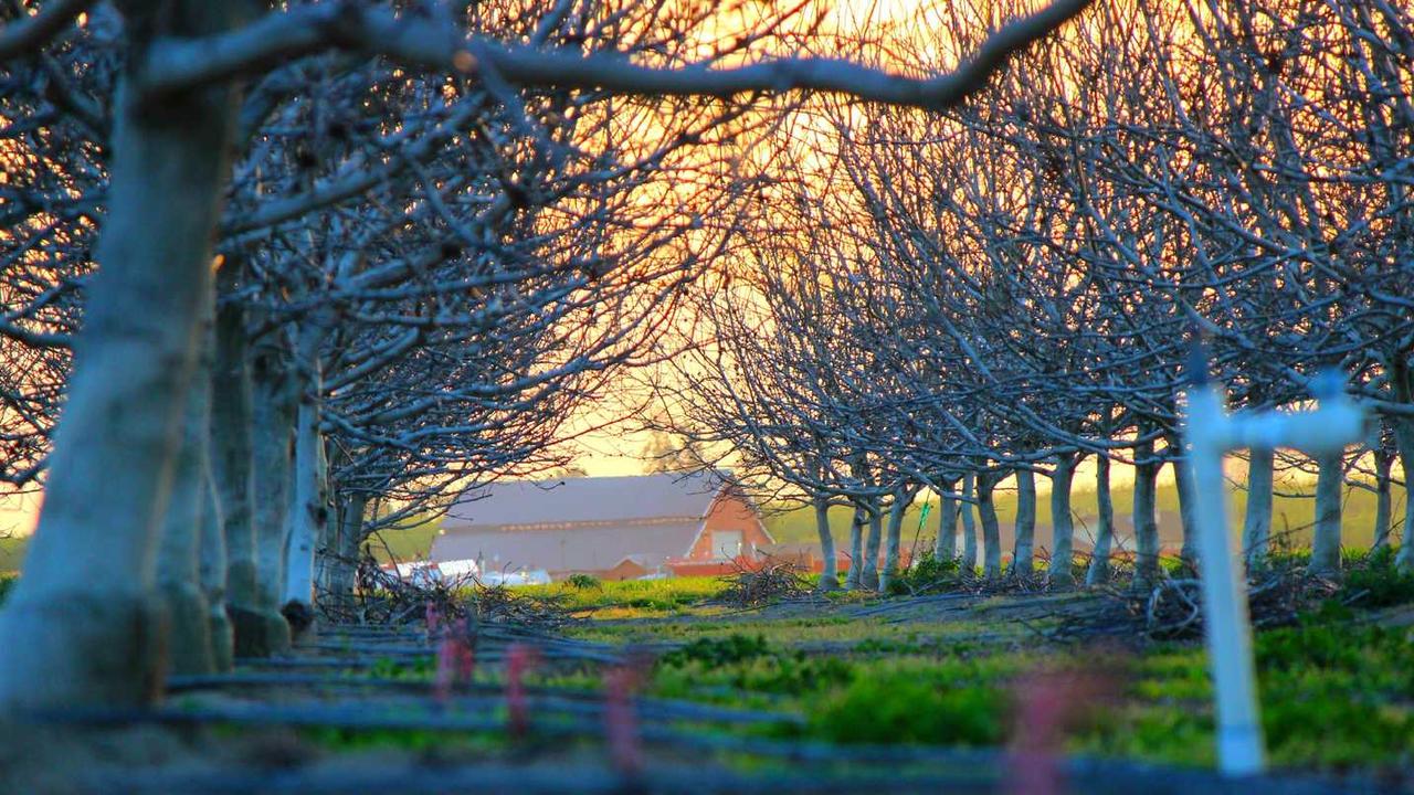 一张展示冷链运输、数据分析等环节的场景