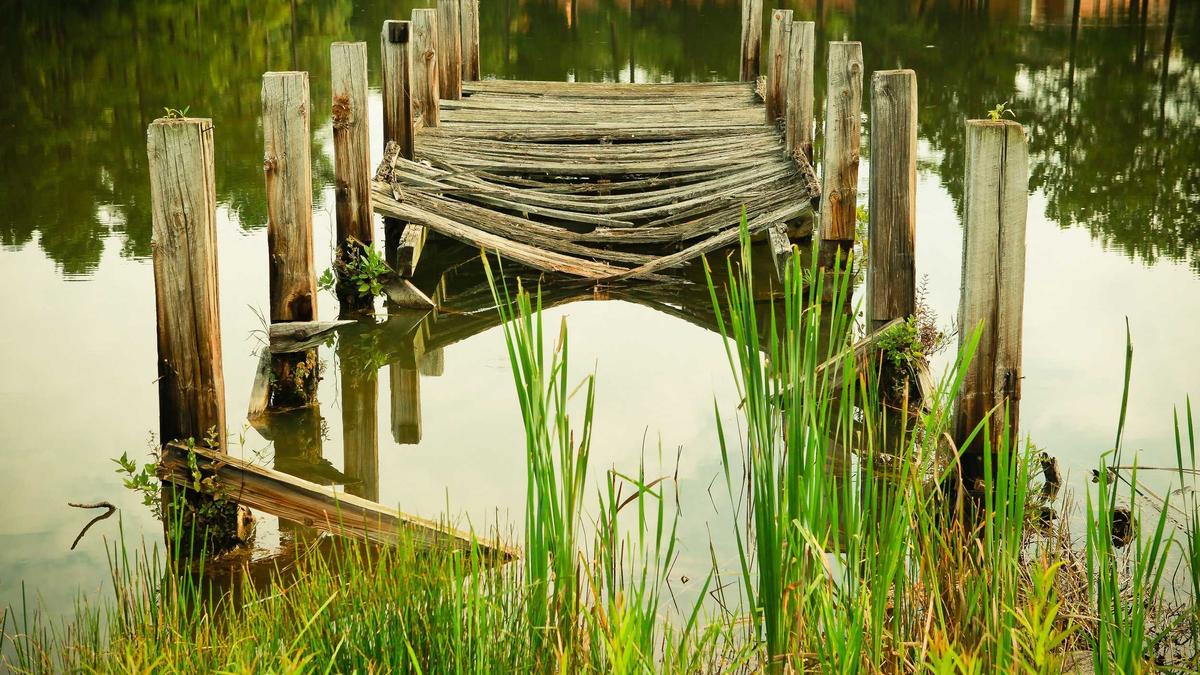 体育的未来：科幻与伦理的提前交锋