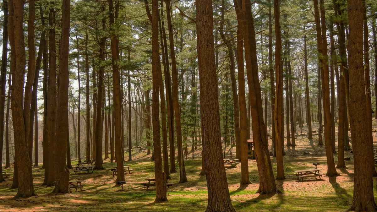 黑客攻击网络示意图，以展示黑客攻击赛事计时计分系统的方式和场景，强调赛事公正性的重要性