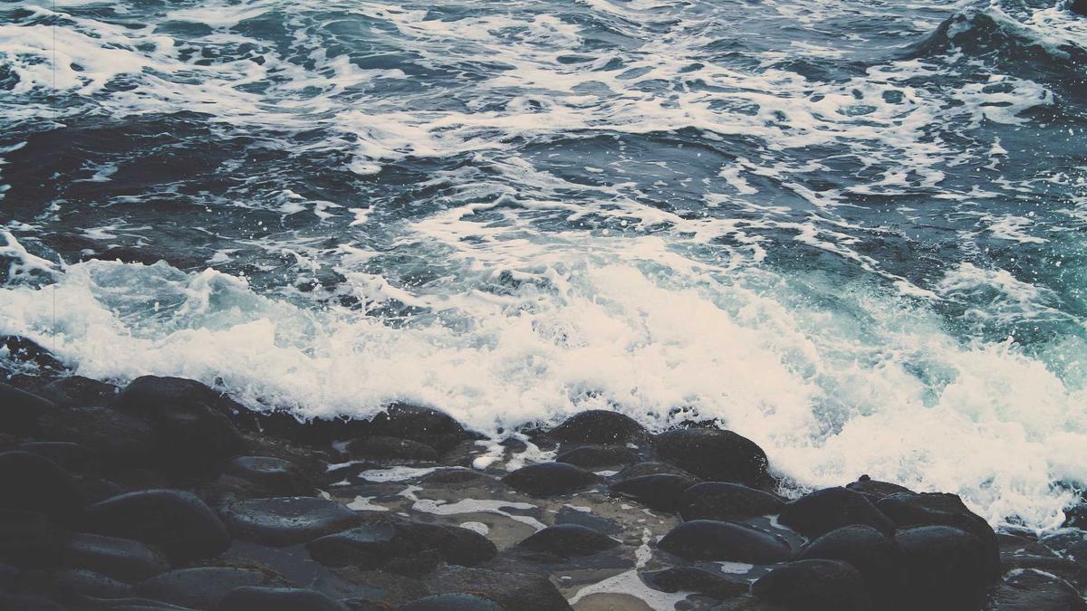 体育舞蹈领域，评委与舞蹈学校利益输送，学生比赛名次与学校“赞助费”直接挂钩。