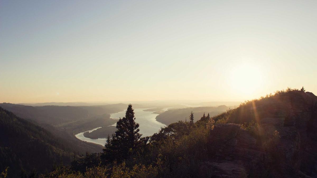 学生运动员在训练和比赛中受重伤，校方极力淡化处理，避免影响赛事和招生。